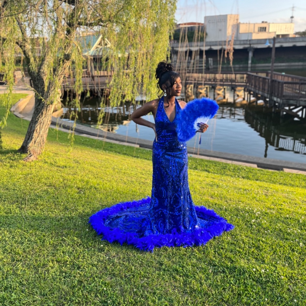 Prom Dress - Picture 2 of 4